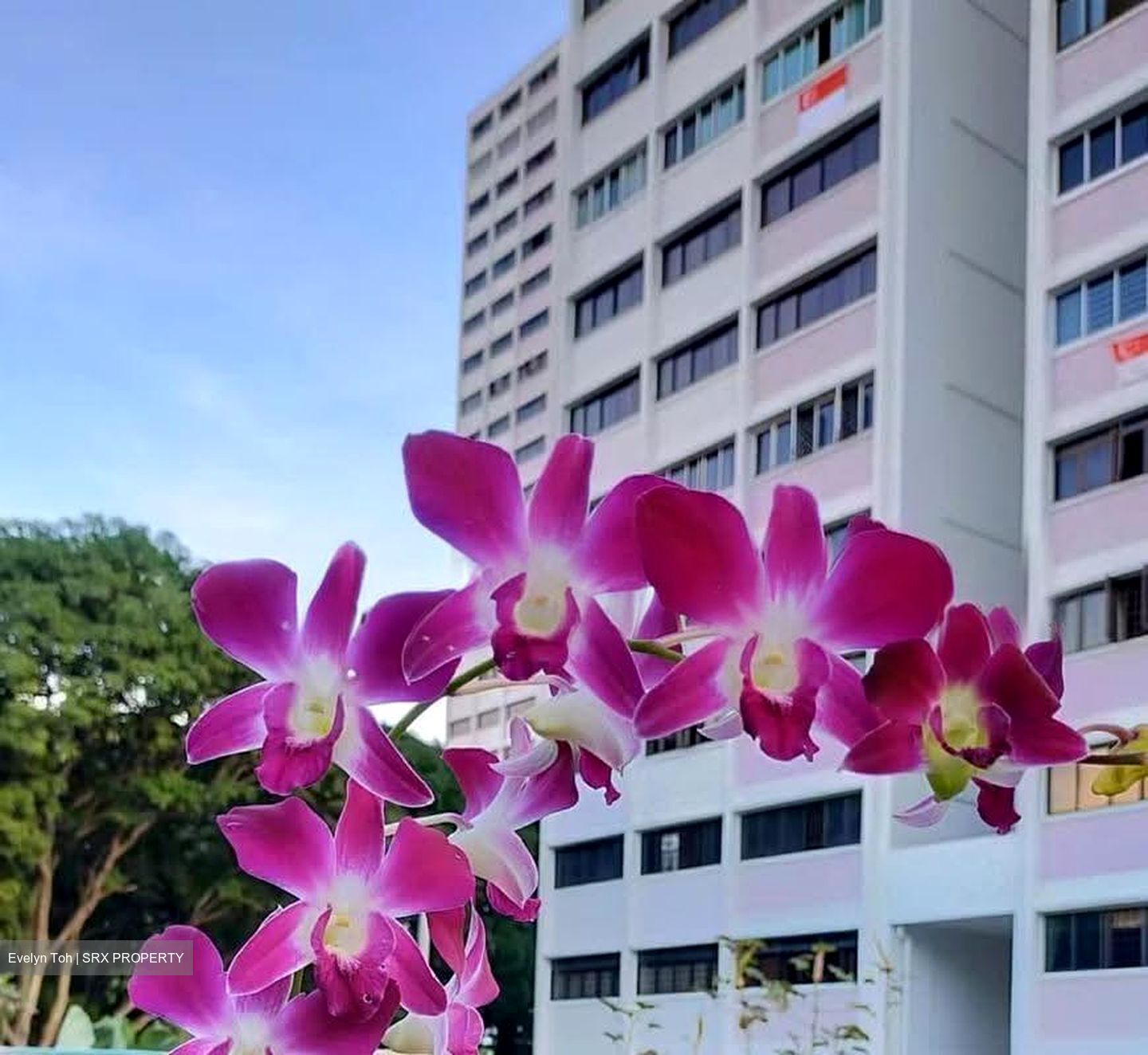 Blk 522 Jurong West Street 52 (Jurong West), HDB 5 Rooms #631817971